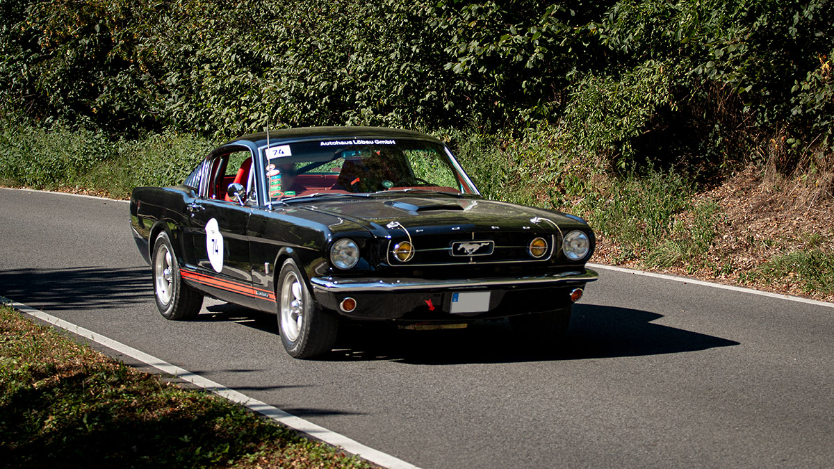 Ford Mustang (1965) - Rallye Elbflorenz 2023