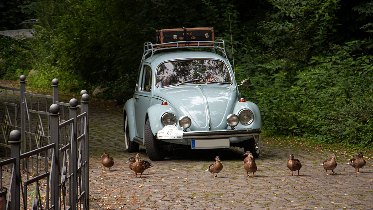 VW Käfer - 8. ADAC Oldtimer Classic Bork (07.2014)