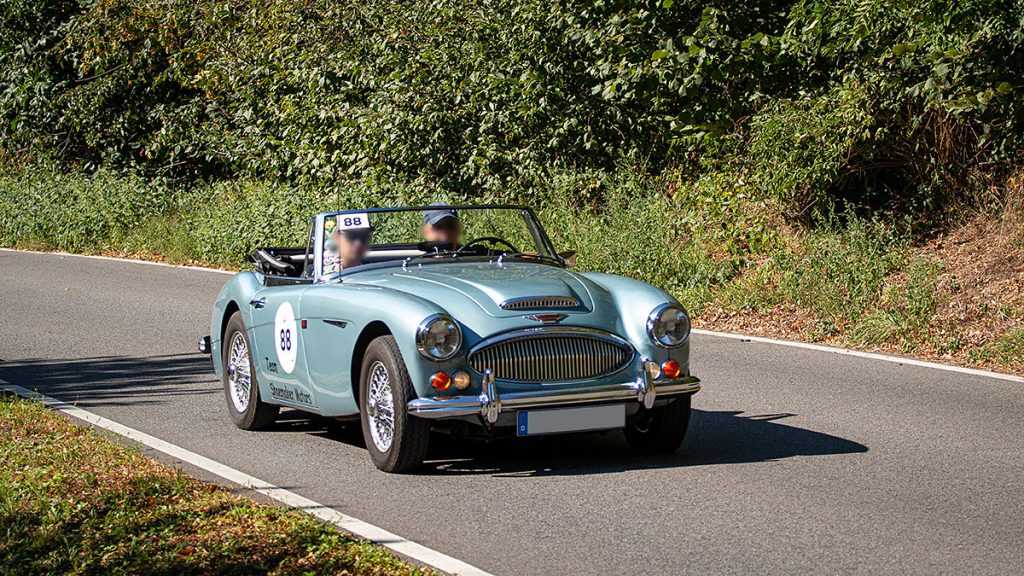 Austin Healey 3000 MK3 - Rallye Elbflorenz 2023