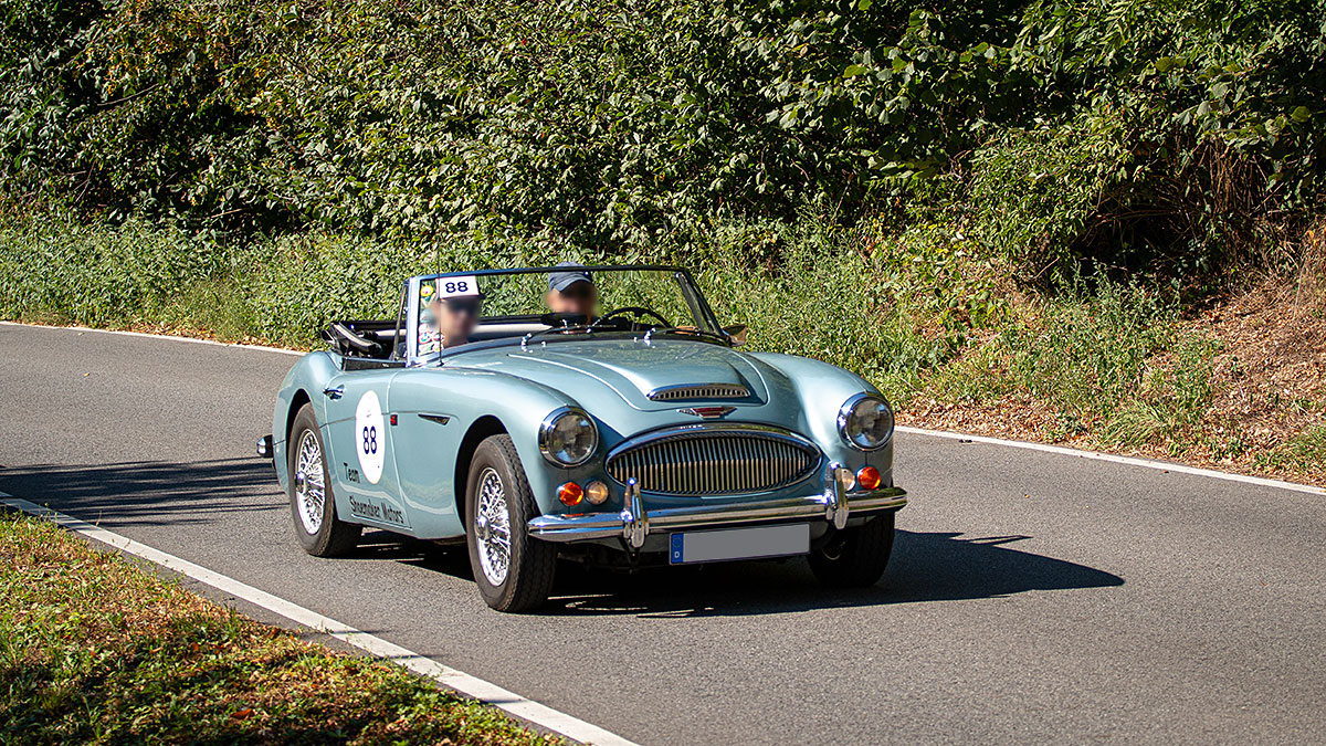 Austin Healey 3000 MK3 - Rallye Elbflorenz 2023